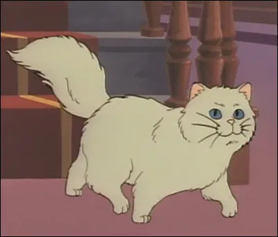 Quel est le nom de ce chat qui vit au pensionnat de Mlle Mangin et qui est souvent maltraité par cette femme ?