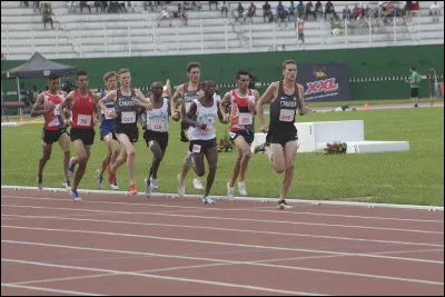 Ton sport préféré est :