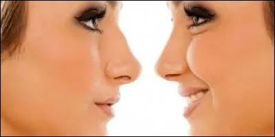 Comment appelle-t-on l'attirance sexuelle pour les cadavres ?