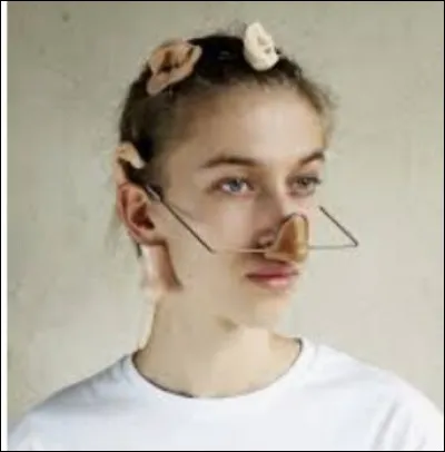 Quel est cet appareil sur cette image ?