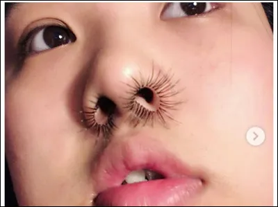 Qu'est-ce que cette illustration ?