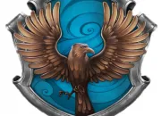 Quiz Connais-tu Serdaigle ?