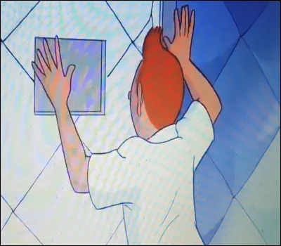 Tintin arrive &agrave; l'h&ocirc;pital en compagnie du professeur tout chantonnant. Il remet la lettre au m&eacute;decin et c'est lui-m&ecirc;me qui se retrouve en cellule capitonn&eacute;e. Pourquoi ?