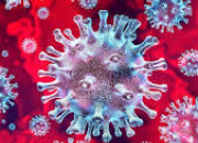 Quiz Le coronavirus