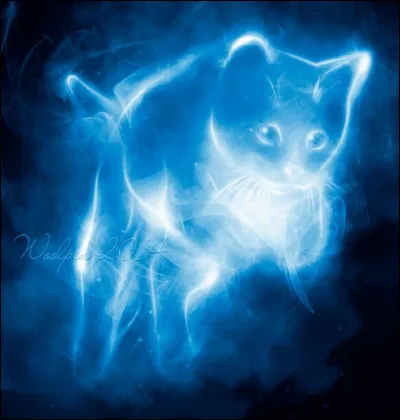 Quel est son patronus ?