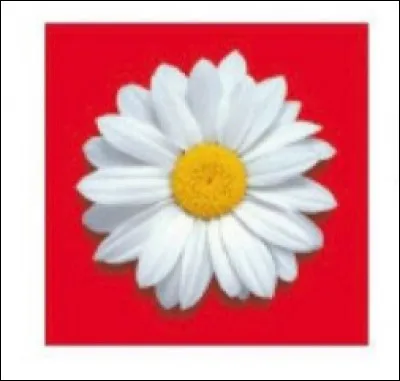 Que représente ce logo ?