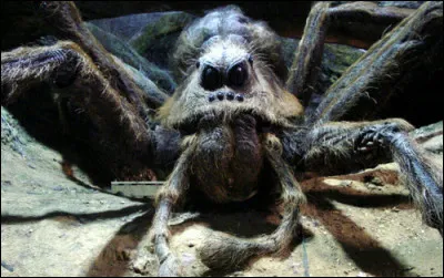 Comment s'appelle la femme d'Aragog ? (Chambre des secrets)