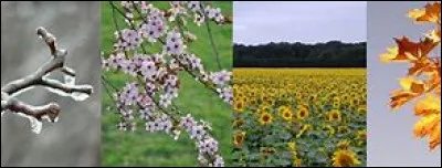 Le calendrier gr&eacute;gorien a &eacute;t&eacute; con&ccedil;u au XVe si&egrave;cle.