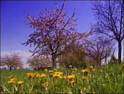 En France, le jour le plus chaud est en moyenne le 30 juillet.