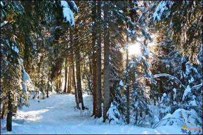 À la fin de ce gros hiver, vous êtes bien heureux de vous y être préparé en été. Cela vous rappelle l'une des fables de La Fontaine :