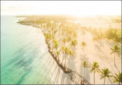 Ouh là ! Ce qu'il fait chaud ! Les fruits se balancent paisiblement au bout de leur branche attendant la cueillette, les fleurs projettent des couleurs chatoyantes et le soleil est éblouissant. L'___ est arrivé.
