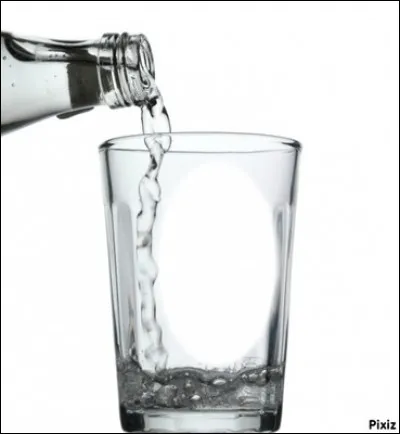 À quel siècle a vécu l'explorateur portugais João Fernandes ?