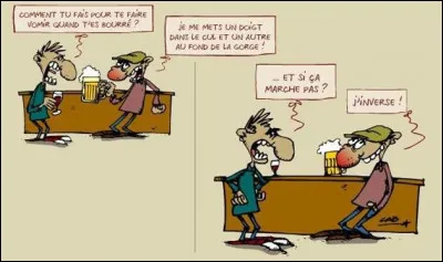 Parmi ces trois propositions, que ne retrouve-t-on normalement pas dans le vomi ?