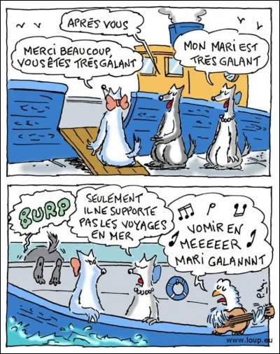 Pour quelles raisons certaines personnes souffrent-elles du mal de l'air, de mer ou, plus généralement, des transports ?