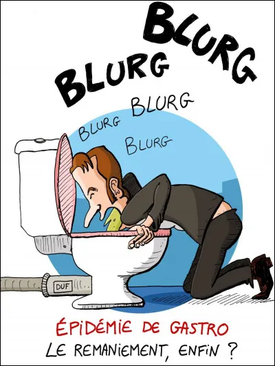 Certains animaux sont incapables de vomir. C'est par exemple le cas :