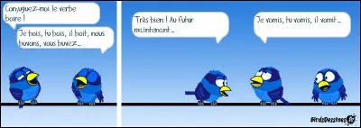 Généralement, le vomissement est précédé de signes avant-coureurs. Quel terme désigne la sensation de mal-être à l'approche d'un éventuel vomissement ?