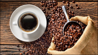 De quelle plante sont issus les grains de café ?