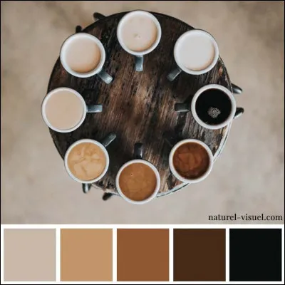 Qui est l'interprête de la chanson "couleur café" de 1964 ?