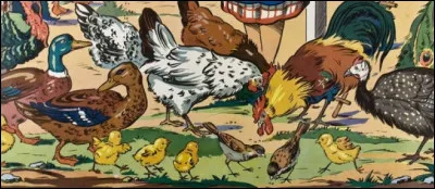 Que sont les Sussex, Harco et Bleu de France ?