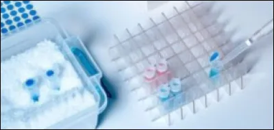 Dans un essai clinique, quand le sujet participant et le chercheur ignorent le traitement re&ccedil;u, on parle d'...