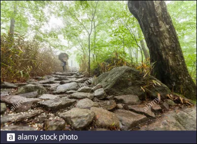 Qui était le chef de l'exécutif en 2012 ?