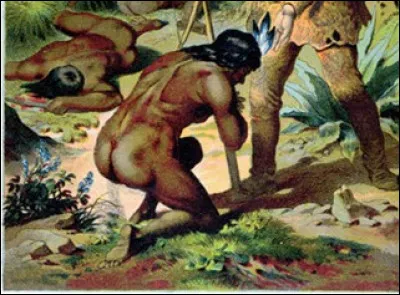 Combien de pays ont uniquement le français comme langue officielle ?