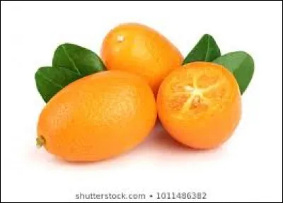 Quel est ce fruit ?