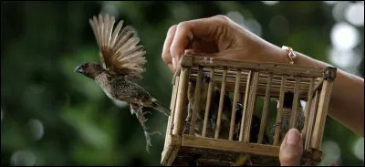 Chanteur ou chanteuse ? Faites votre choix !