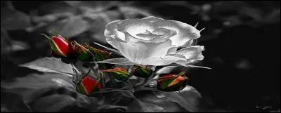 &Eacute;pendre et r&eacute;pendre font la paire.