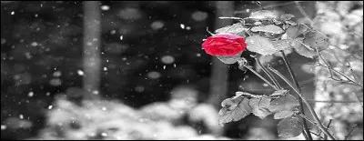 On siffle et on persifle.