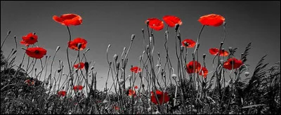 Certains mots comme dict&eacute;e, jet&eacute;e, port&eacute;e sont de genre f&eacute;minin. D'autres comme amiti&eacute;, bont&eacute;, beaut&eacute; et salet&eacute; sont aussi f&eacute;minin et cependant la fin du mot est distincte "-t&eacute;&eacute; \ -t&eacute;".Pourquoi ?