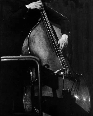 La contrebasse a ...