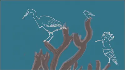 Dans l'album "Ny vorona nifidy mpanjaka", lesquels ne sont pas élus roi des oiseaux ?