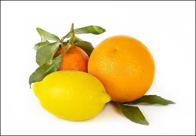 Les produits d'entretien parfumés au citron ou à l'orange peuvent-ils rendrent le chat aggressif ?