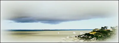 Et leurs traces sont tenaces, ils s'accrochent au point de se [...] aux tentures.