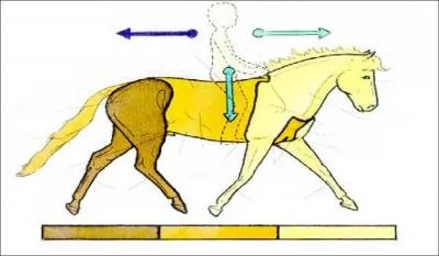 Comment s'appelle la partie blache ?