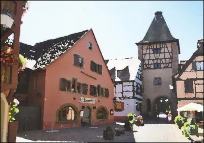 Petite ville de 3 700 habitants du département du Haut-Rhin, située dans la vallée de la Fecht à la limite des Vosges et de la plaine d'Alsace :