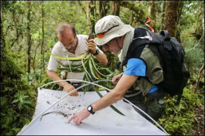 Comment appelle-t'on la branche de la biologie qui étudie les insectes ?