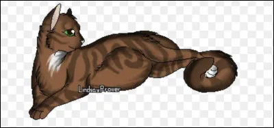 Un compagnon pour toi, c'est :