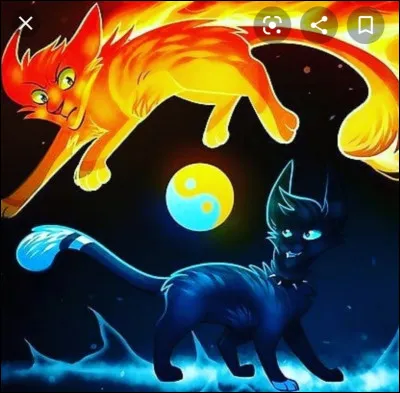 Ton caractère est :