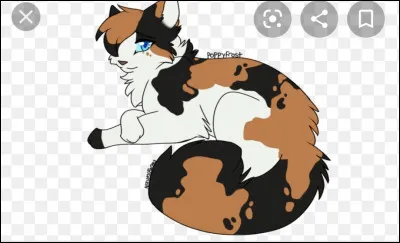 Tu as, sur ton pelage :