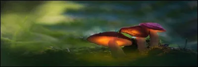 Quels adjectifs restent invariables devant le nom qu'ils accompagnent ?