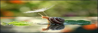 Quel est le bon accord et quelle est la syntaxe correcte, selon la règle ?