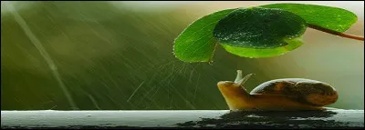 Quand un adjectif est composé de deux noms, deux adjectifs ou deux participes passés, on met les deux éléments au pluriel.