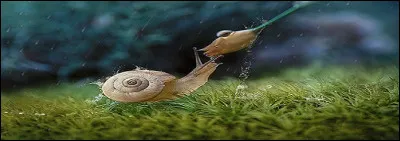 Ces objets trouvés chez l'antiquaire m'ont coûté chers.