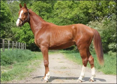 Quelle est cette robe ?