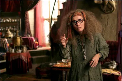 Parmi ces propositions, quelle(s) prédiction(s) de Sybille Trelawney est/sont vraie(s) ?