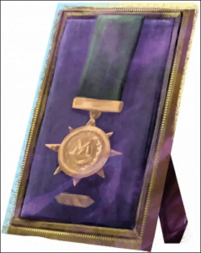 Quelle(s) couleur(s) est/sont les ordres de Merlin de 2e classe que reçoivent les sorciers ?