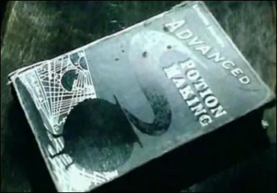 Quel(s) est/sont le(s) sort(s) rédigé(s) dans le livre "Harry Potter et le Prince de sang-mêlé" ?