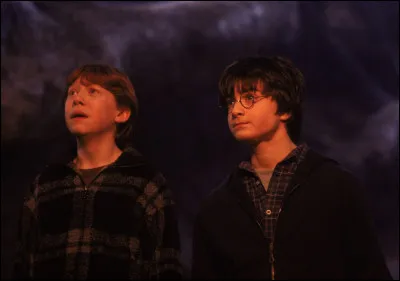 D'où vient l'arachnophobie de Ron Weasley ?
